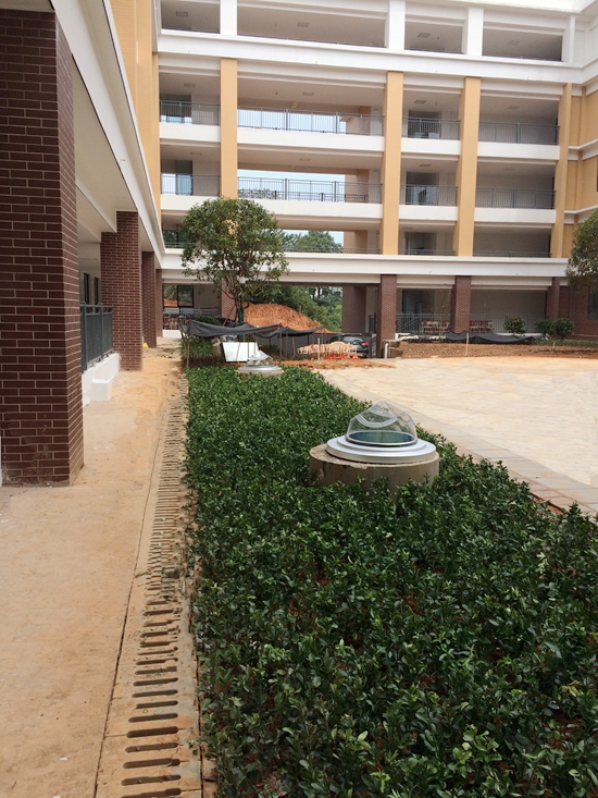 �Lɳ�t���ЌW(xu��)�����������o�����ϵ�y(t��ng)